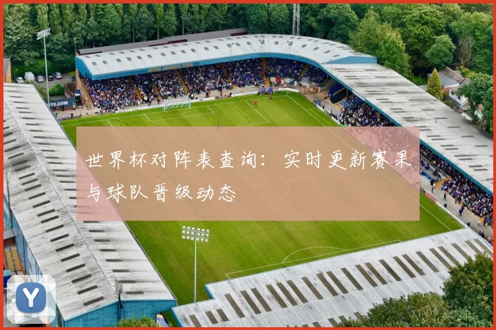 世界杯对阵表查询：实时更新赛果与球队晋级动态