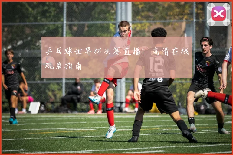 乒乓球世界杯决赛直播：高清在线观看指南