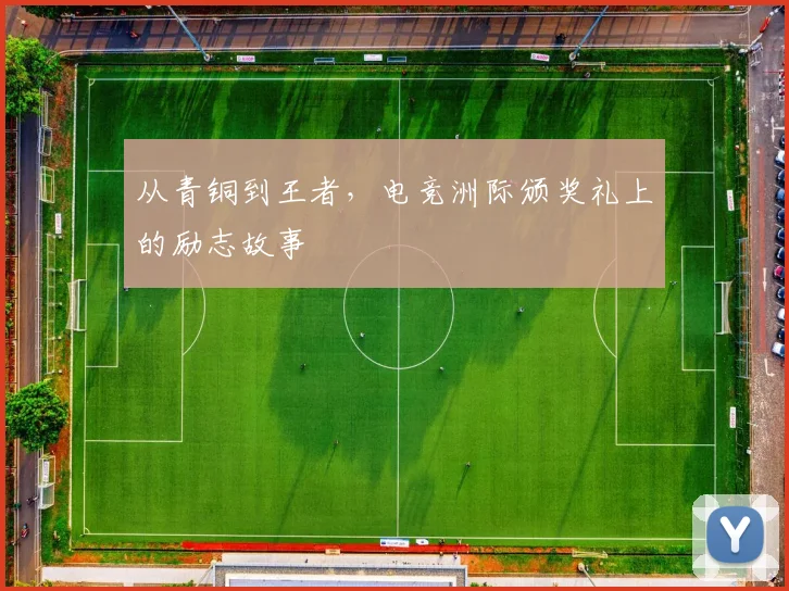 从青铜到王者，电竞洲际颁奖礼上的励志故事